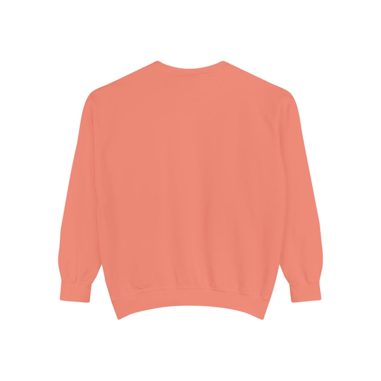 APRE’S PICKLEBALL & SKI Unisex Garment-Dyed CREW - medium weight
