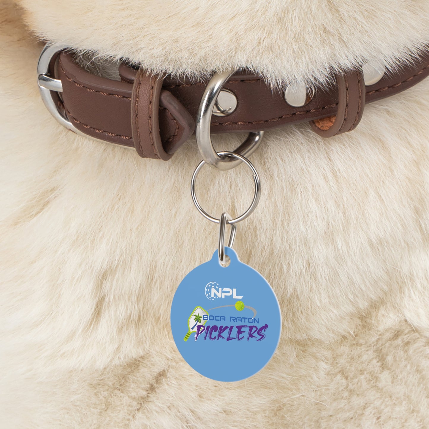 Pickler Pet Tag - Can customize front or back