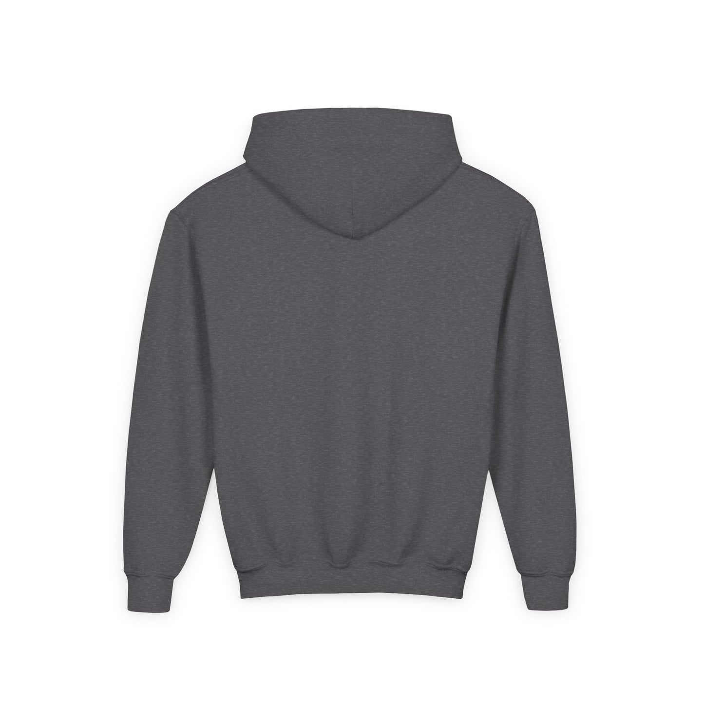 Santa Barbara Pickleball - Youth Heavy Blend Hoodie - add name back