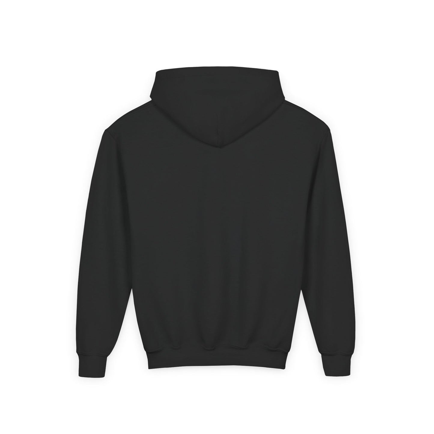 Santa Barbara Pickleball - Youth Heavy Blend Hoodie - add name back