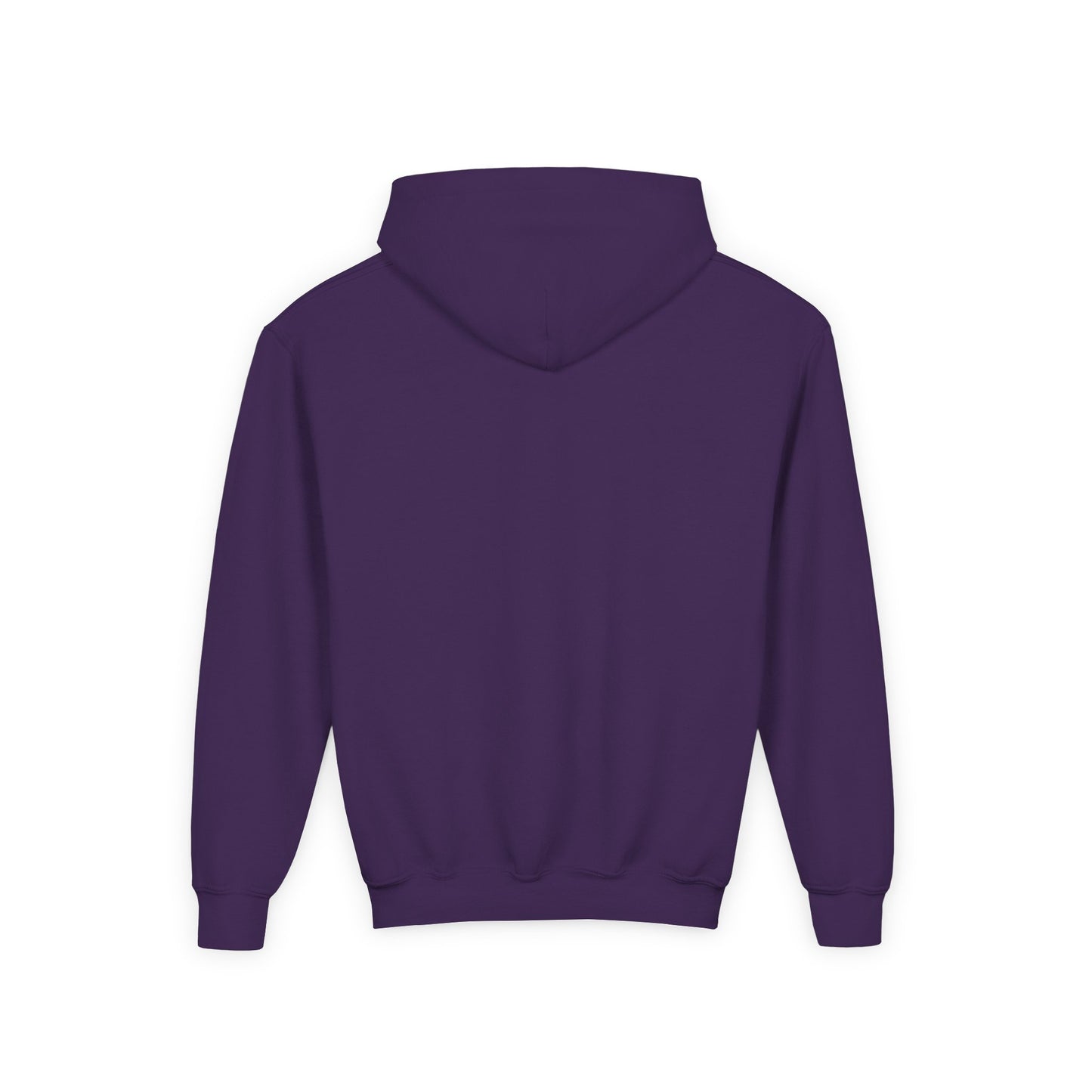 Santa Barbara Pickleball - Youth Heavy Blend Hoodie - add name back
