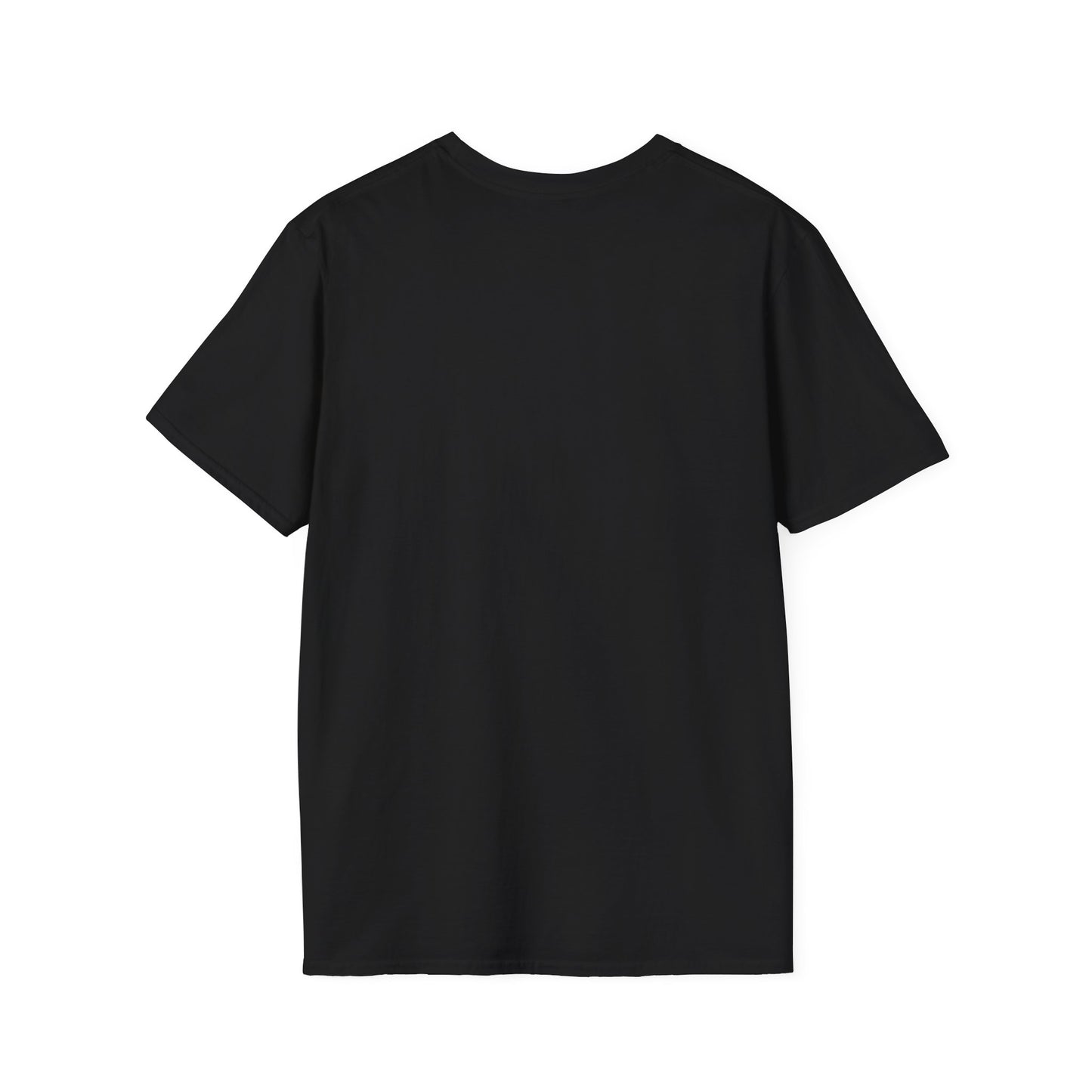 Ojai Valley Pickleball - Men’s Softstyle T-Shirt