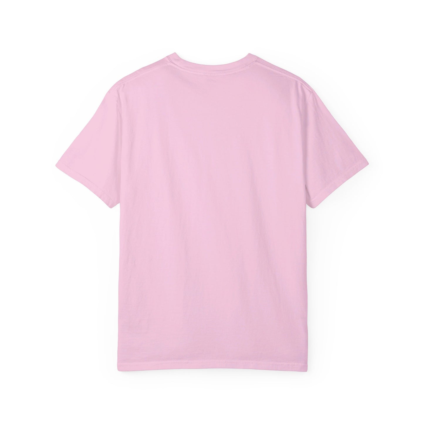Pickle Everything Unisex Garment-Dyed T-shirt