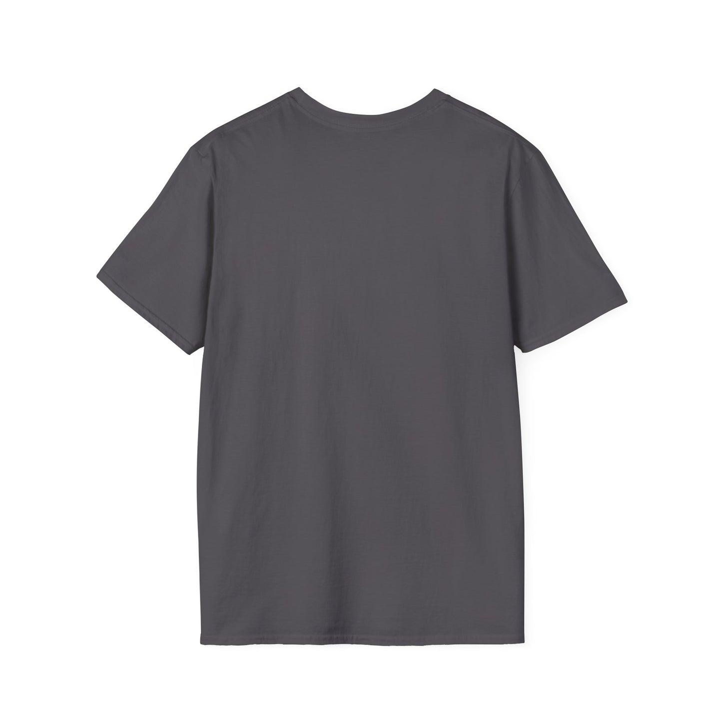 Ojai Valley Pickleball - Men’s Softstyle T-Shirt