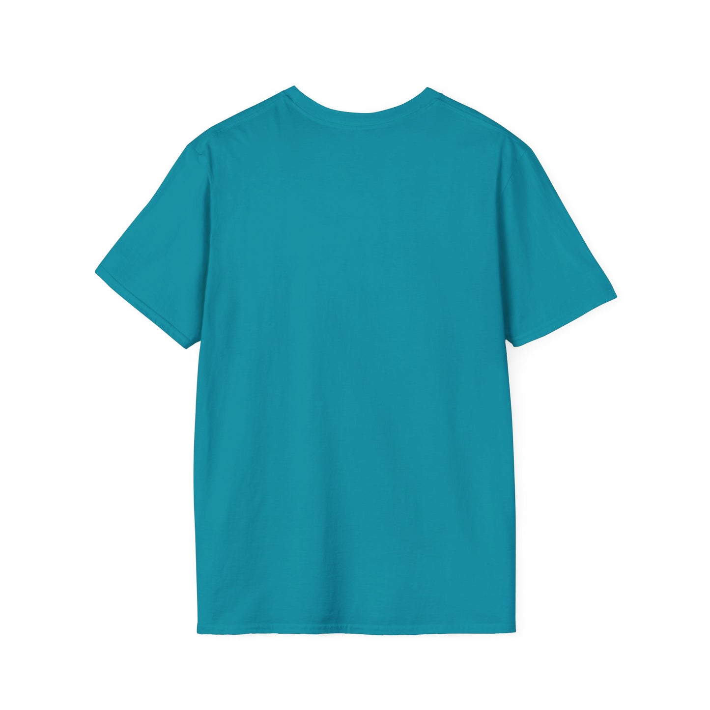 Ojai Valley Pickleball - Men’s Softstyle T-Shirt