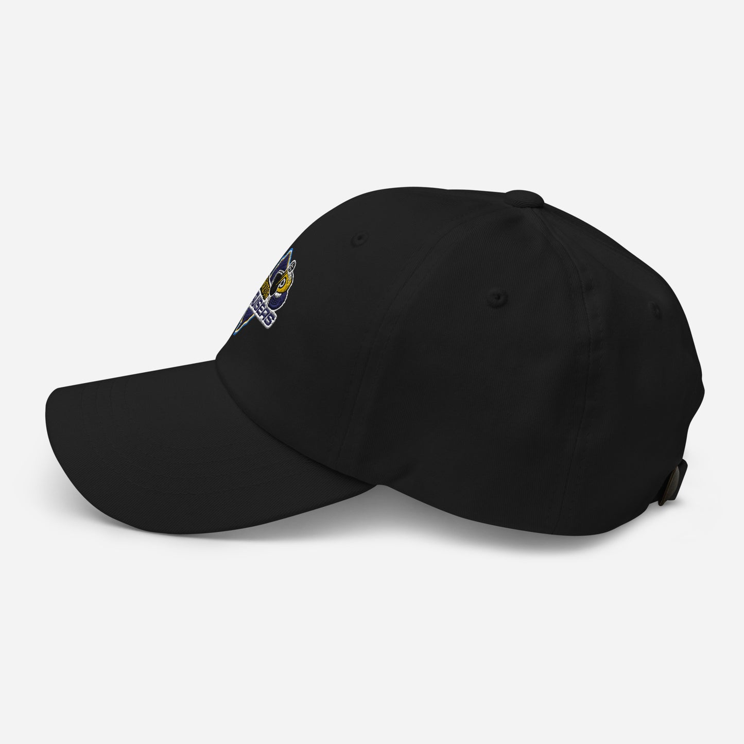 Princeton Bruisers NPL Classic Baseball Hat - Cotton Twill
