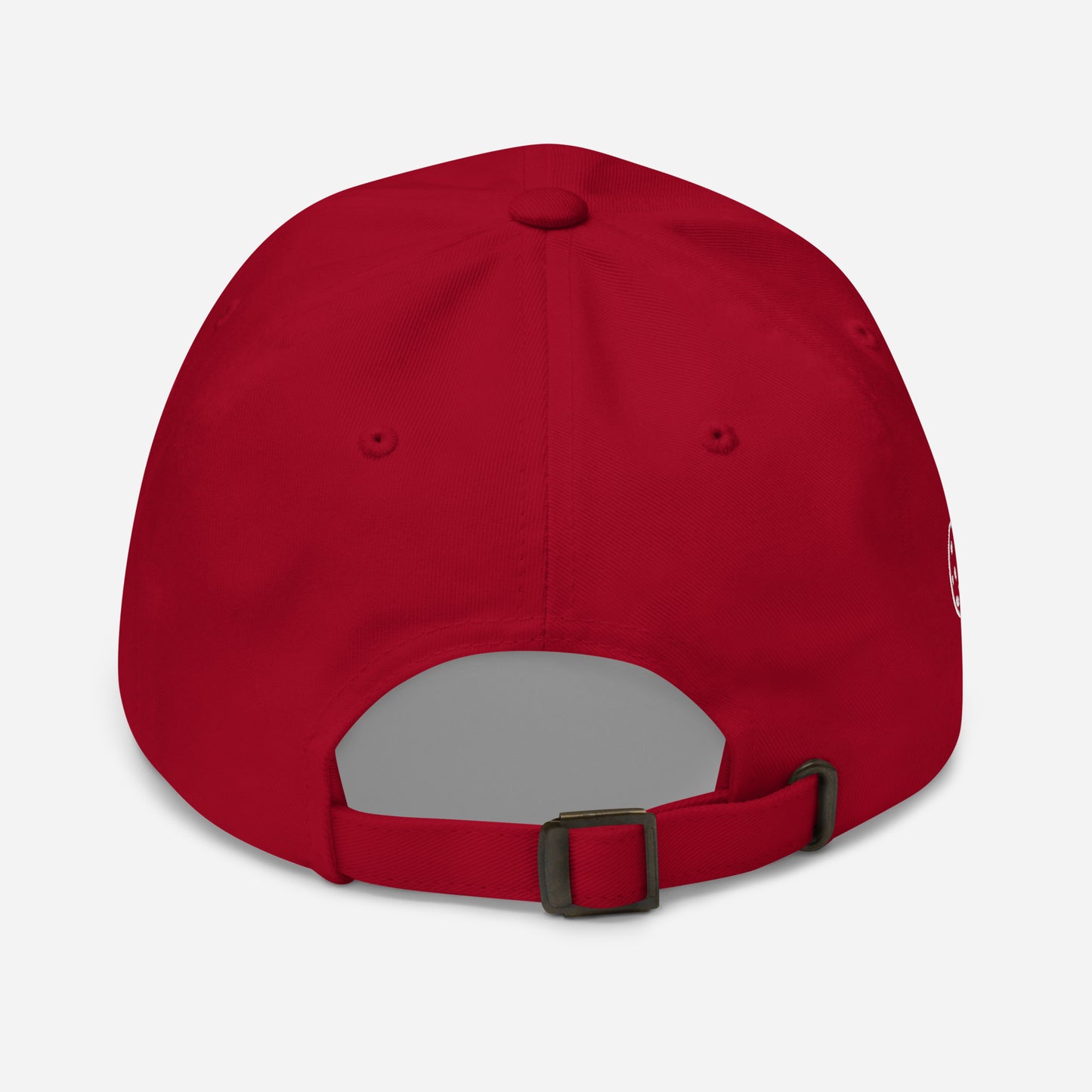 Princeton Bruisers NPL Classic Baseball Hat - Cotton Twill