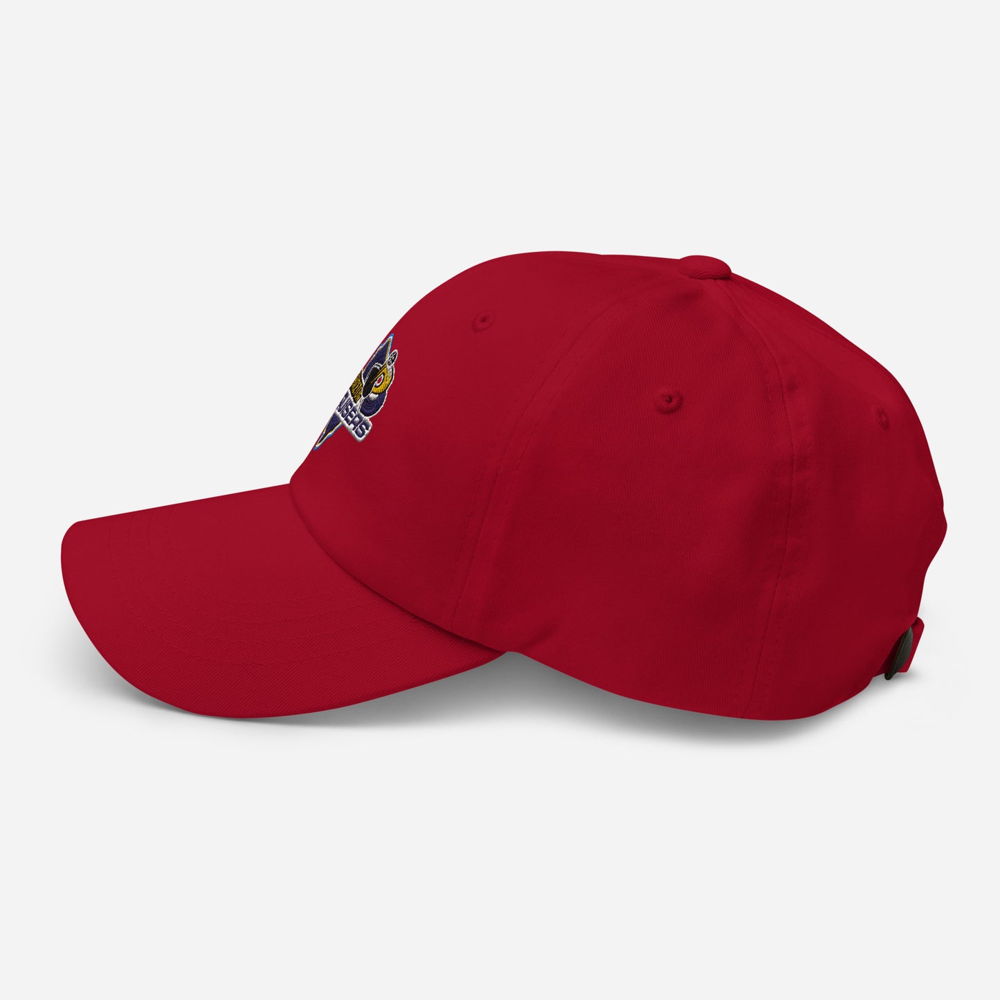 Princeton Bruisers NPL Classic Baseball Hat - Cotton Twill