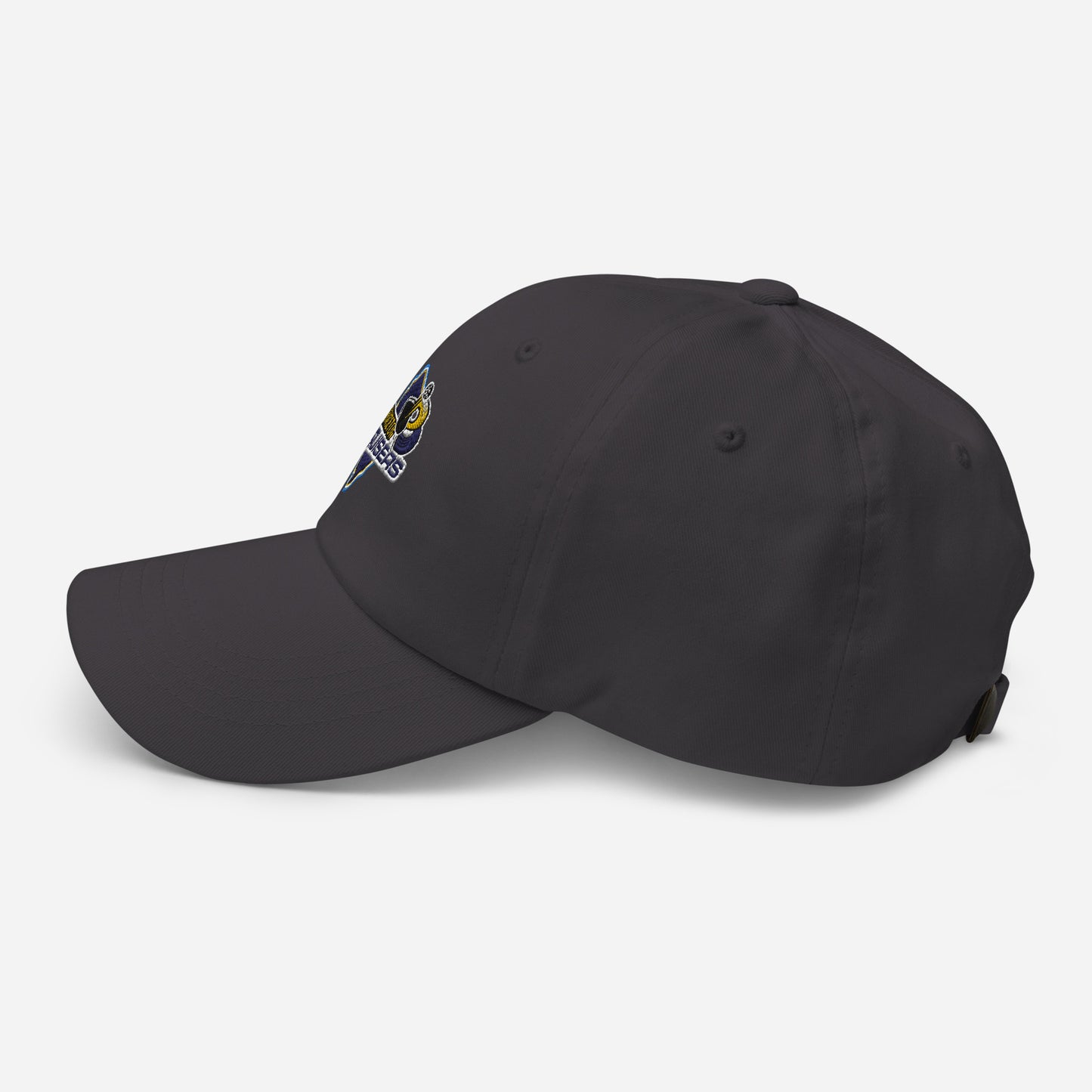 Princeton Bruisers NPL Classic Baseball Hat - Cotton Twill