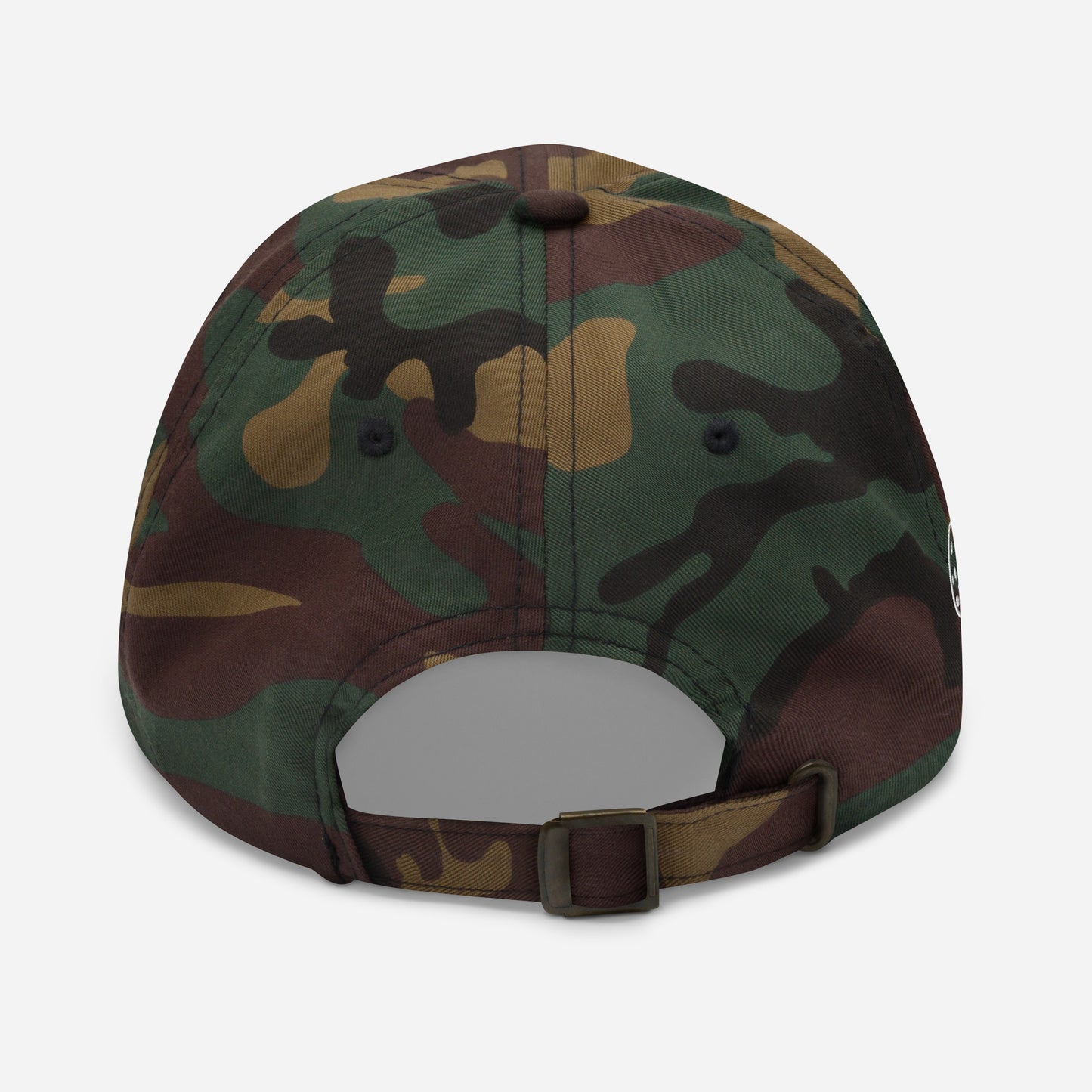 Princeton Bruisers NPL Classic Baseball Hat - Cotton Twill