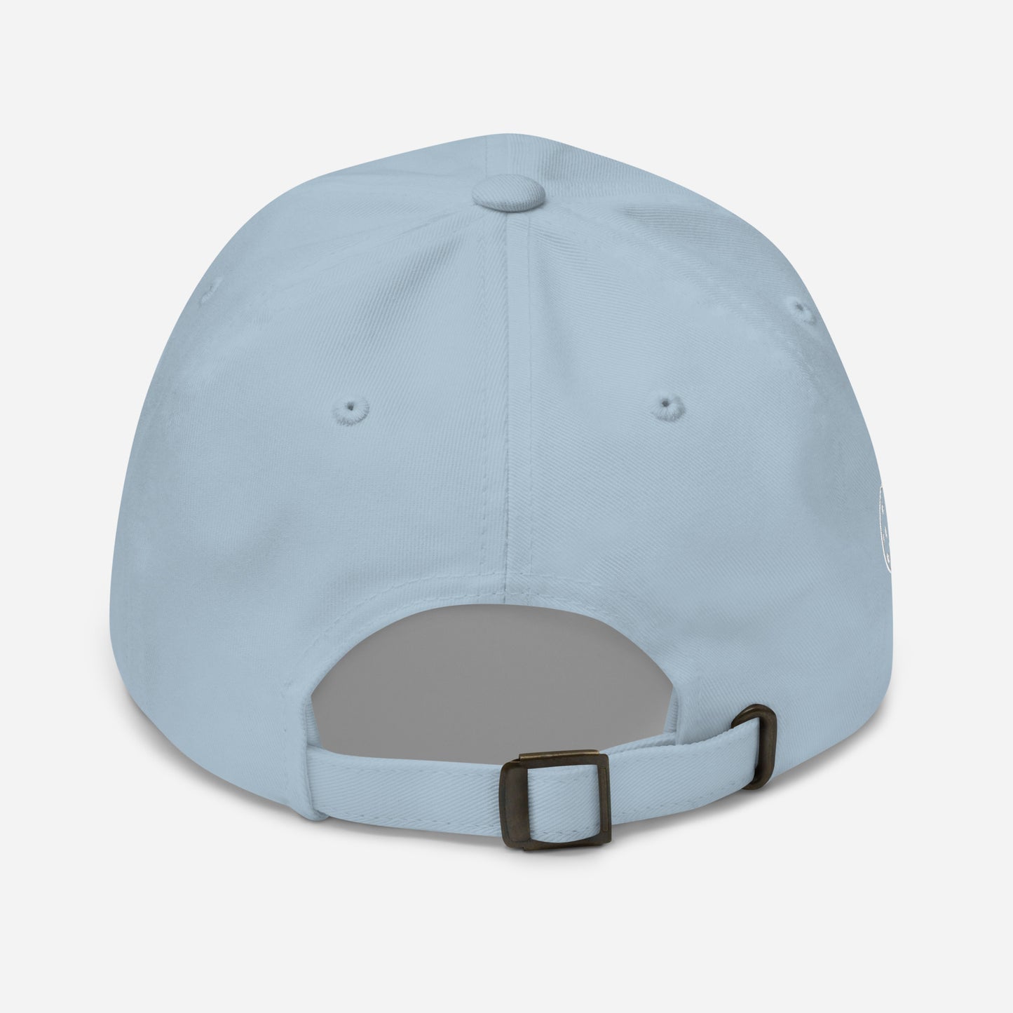 Princeton Bruisers NPL Classic Baseball Hat - Cotton Twill