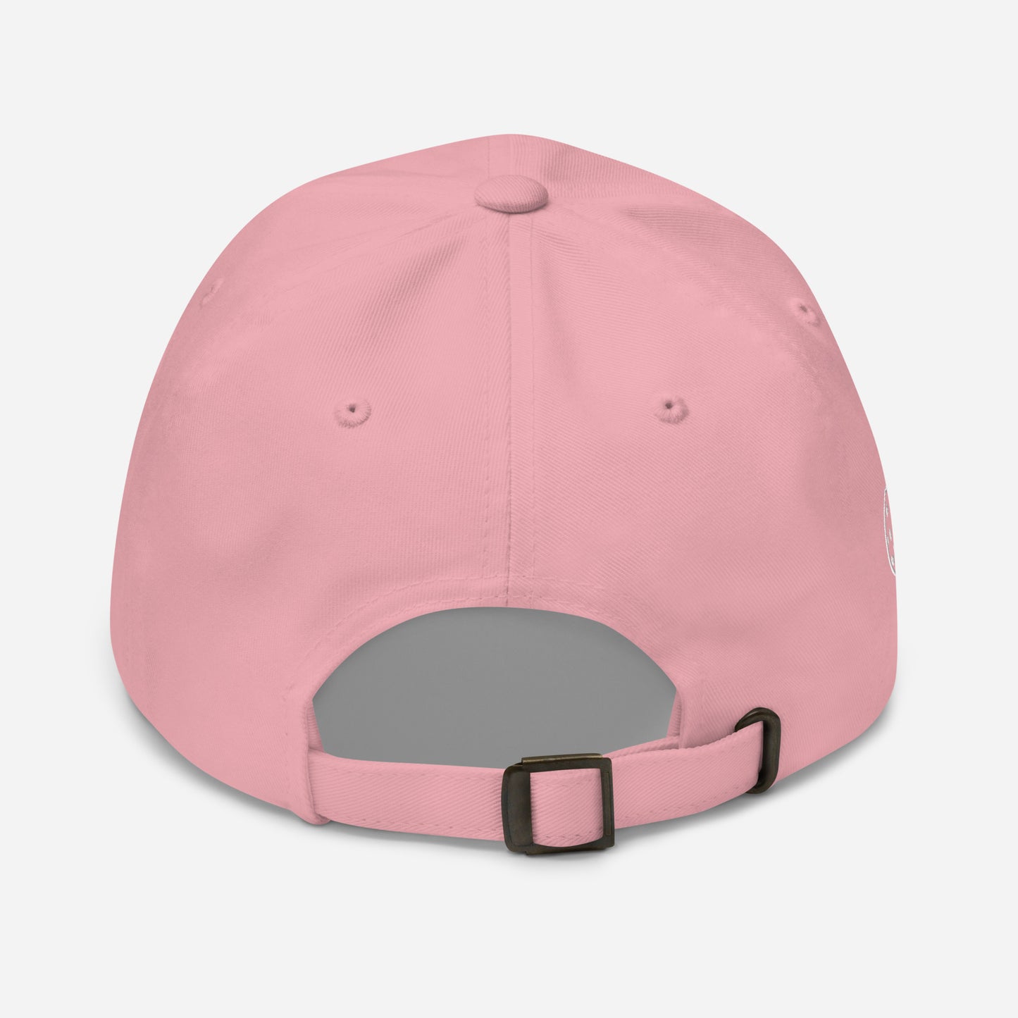 Princeton Bruisers NPL Classic Baseball Hat - Cotton Twill