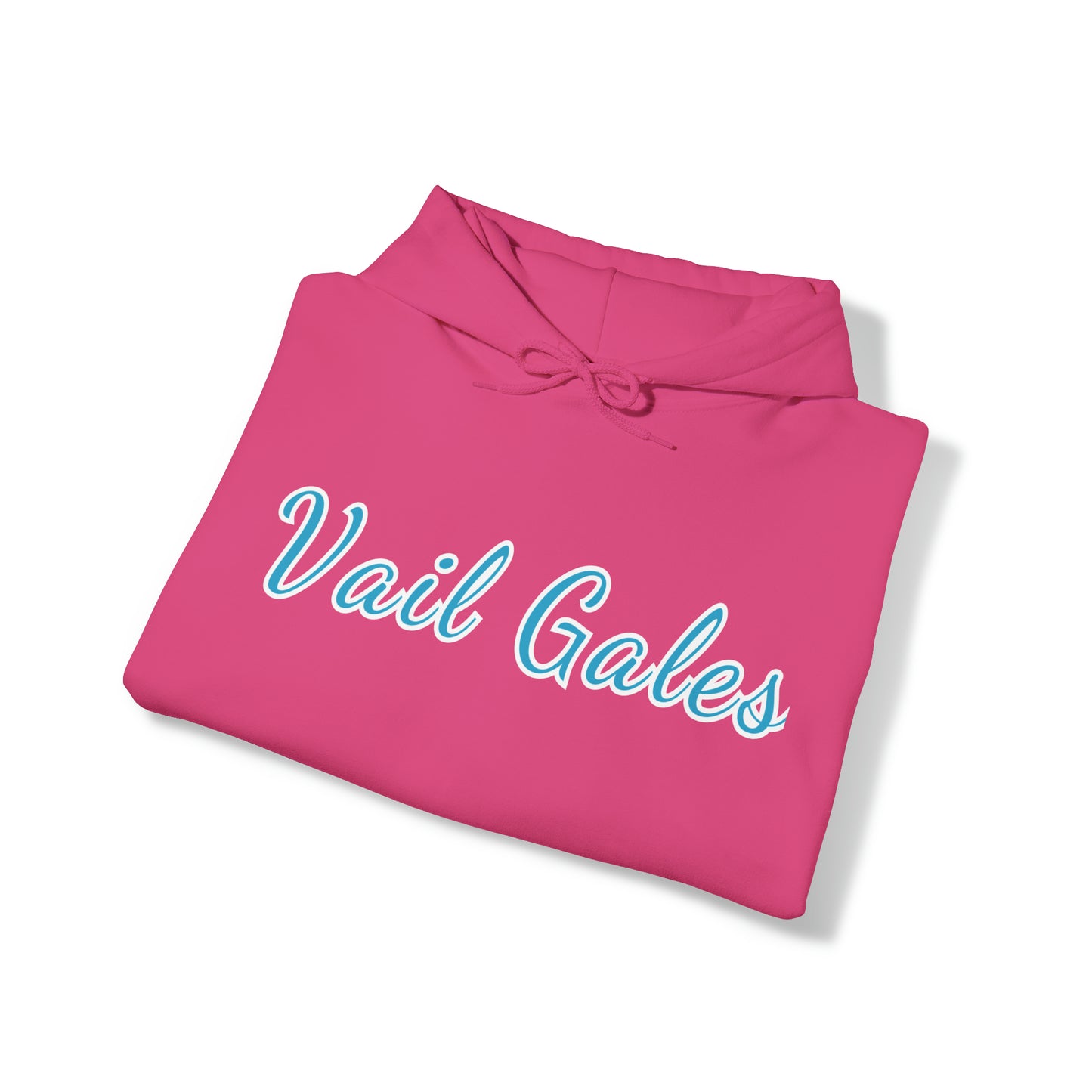 Vail Gales Pickleball - Script Hoodie Unisex - Customize sleeve