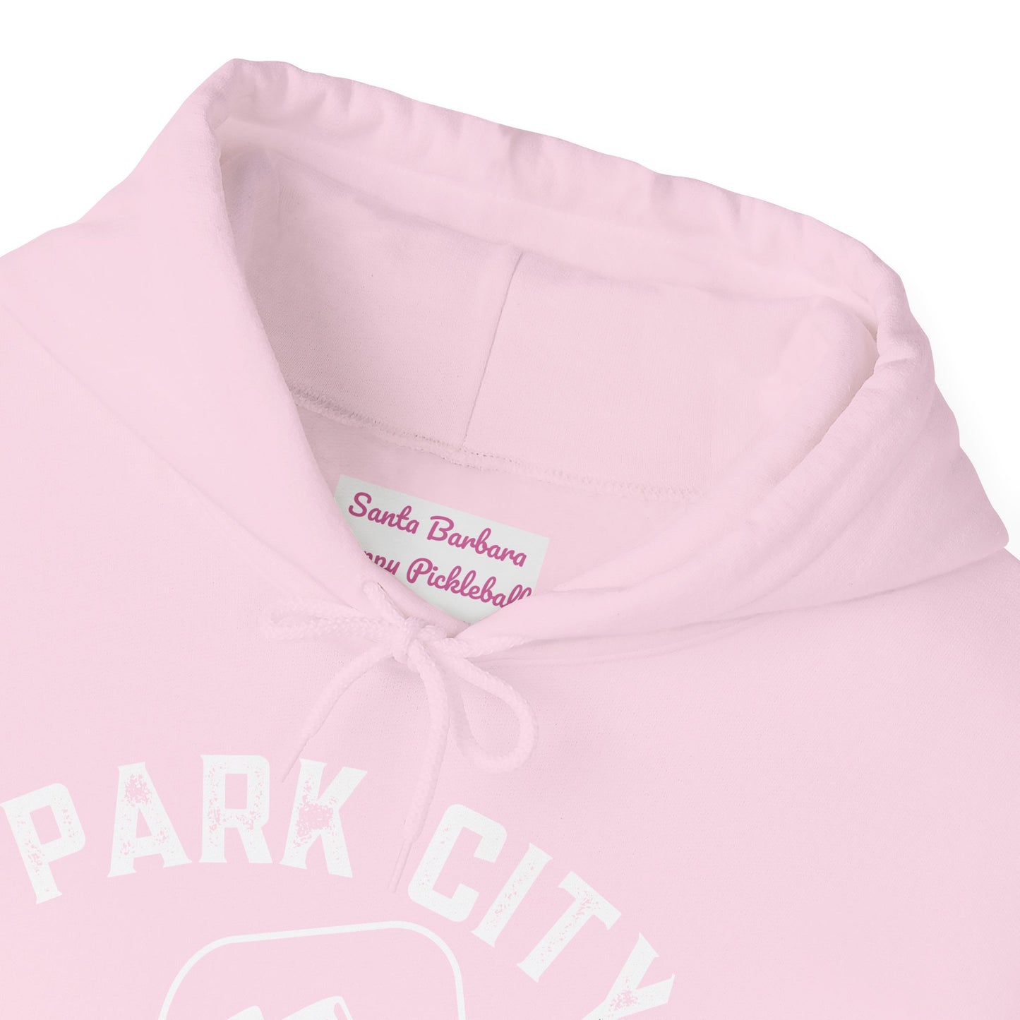 Copy of Patti Park City Utah Pickleball Unisex Hoodie - can customize sleeves and back