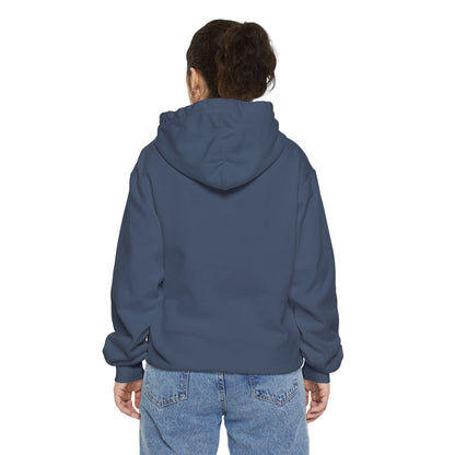 Pura Vida Garment Dyed 100% cotton, sweatshirt- distressed beachy