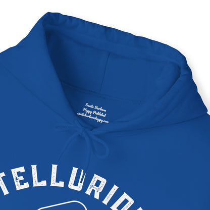 Telluride Pickleball Unisex Hoodie