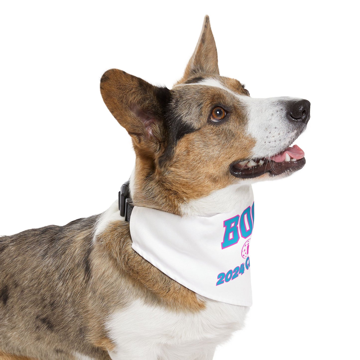 BOCA NPL ‘24 Championship Pet Bandana Collar