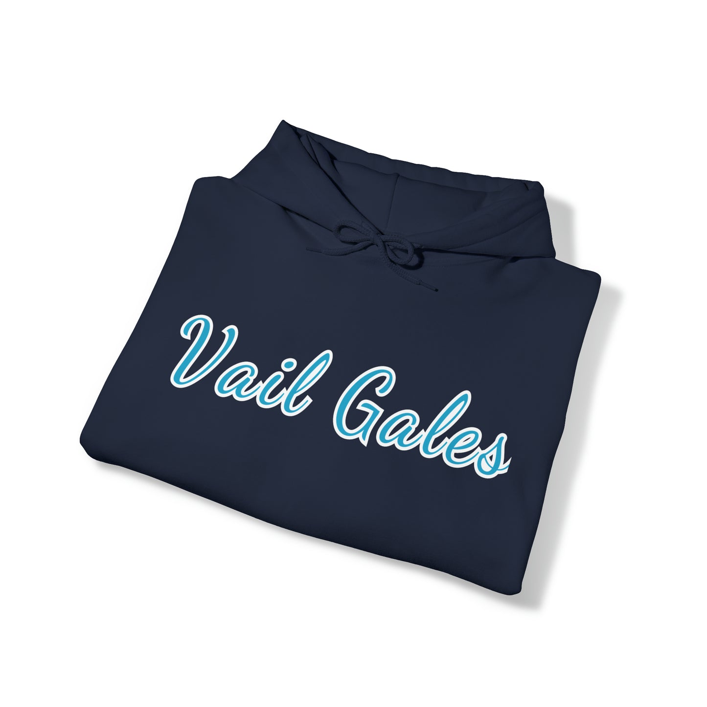 Vail Gales Pickleball - Script Hoodie Unisex - Customize sleeve