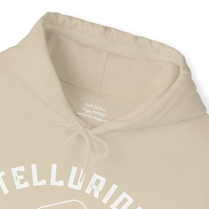 Telluride Pickleball Unisex Hoodie