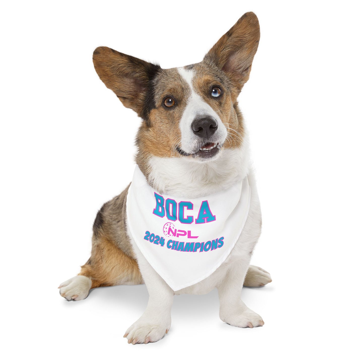 BOCA NPL ‘24 Championship Pet Bandana Collar