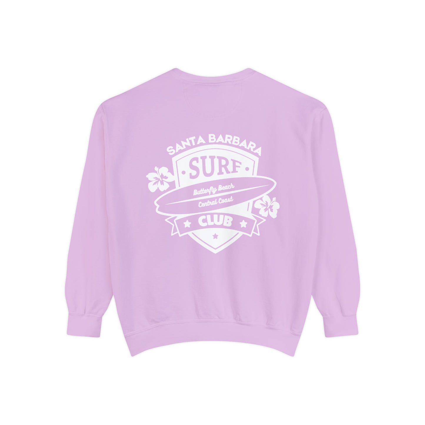 SURF CLUB CREW— Santa Barbara Butterfly Beach or customize your own beach/loocation