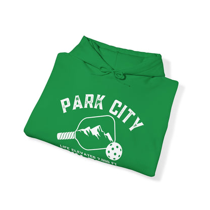 Park City Utah Pickleball Unisex Hoodie (colors) - can customize sleeves and back as shown