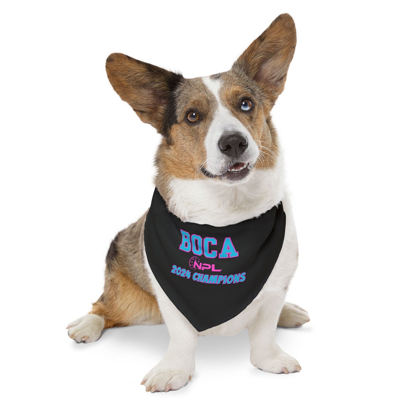 BOCA NPL ‘24 Championship Pet Bandana Collar